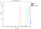 Anti-HGS Antibody Picoband™ (monoclonal, 4B7E2)